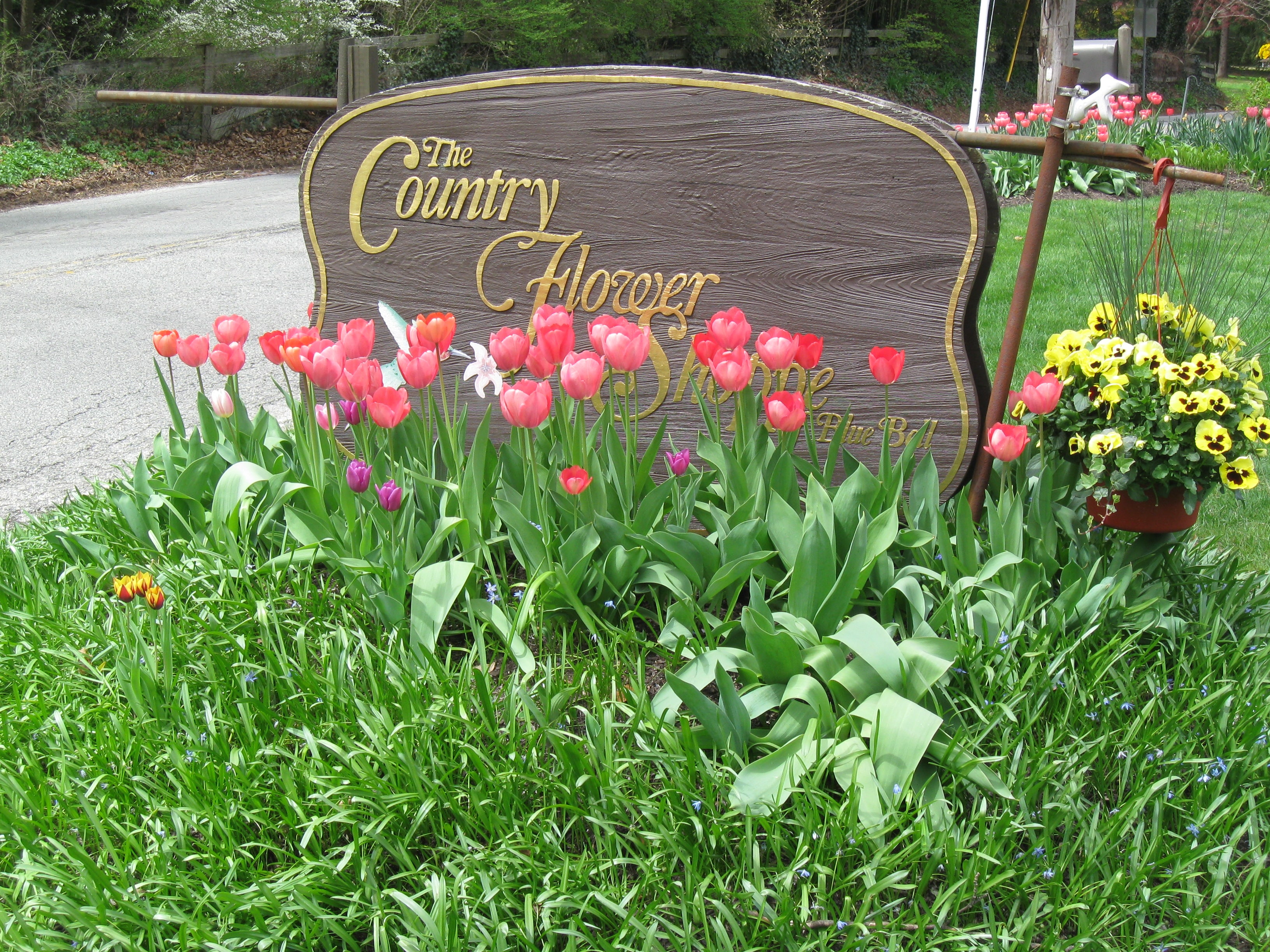 About Country Flower Shoppe Blue Bell, PA Florist